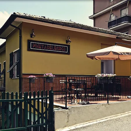Otel Pineta Del Borgo *