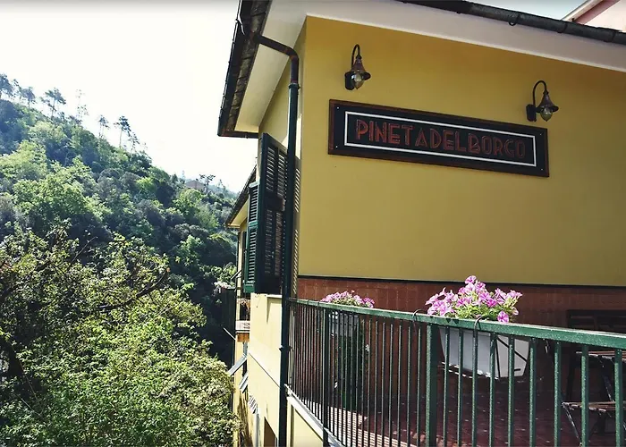 Pineta Del Borgo Otel Cavi di Lavagna